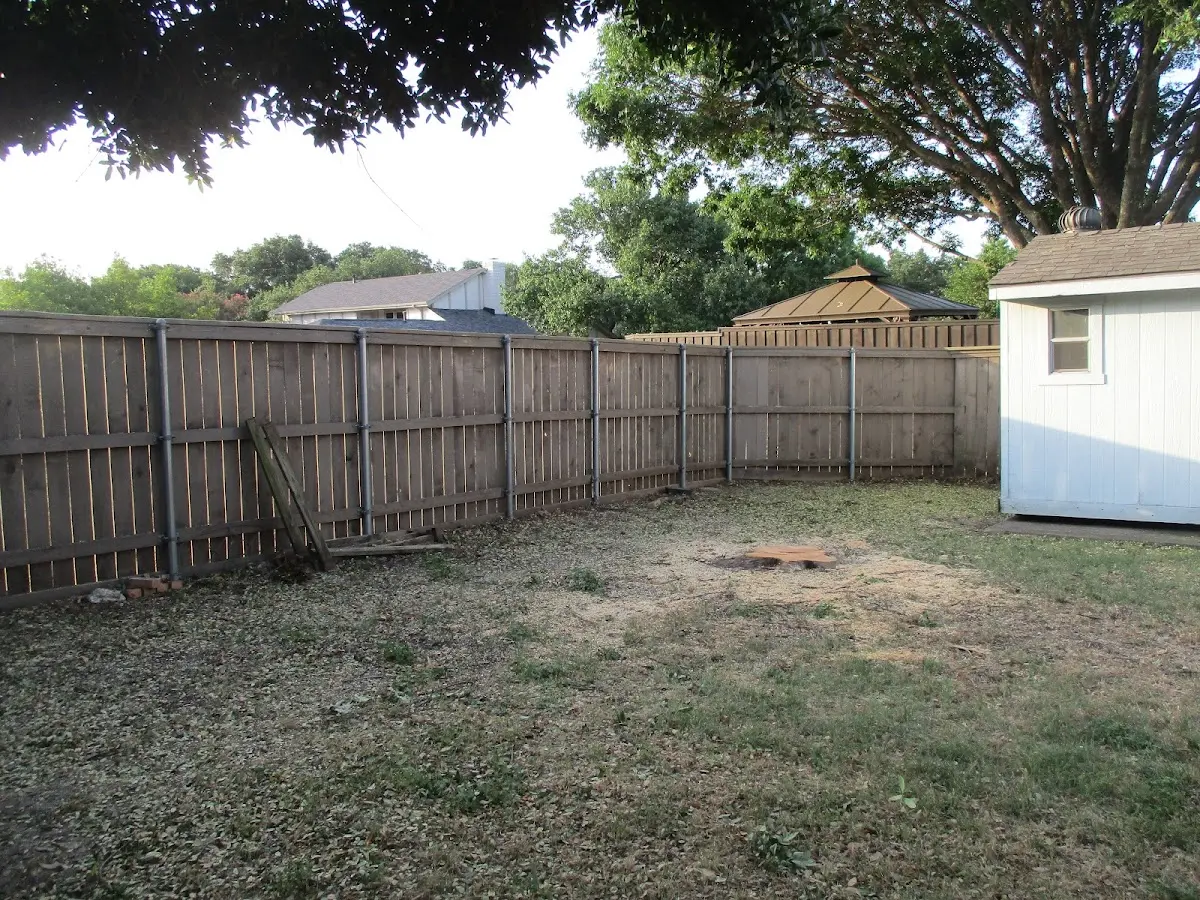 Cleared yard after professional tree removal in South Carver